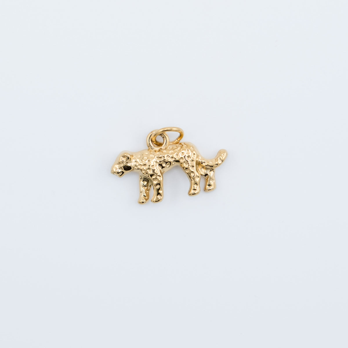 Charm - Leopard