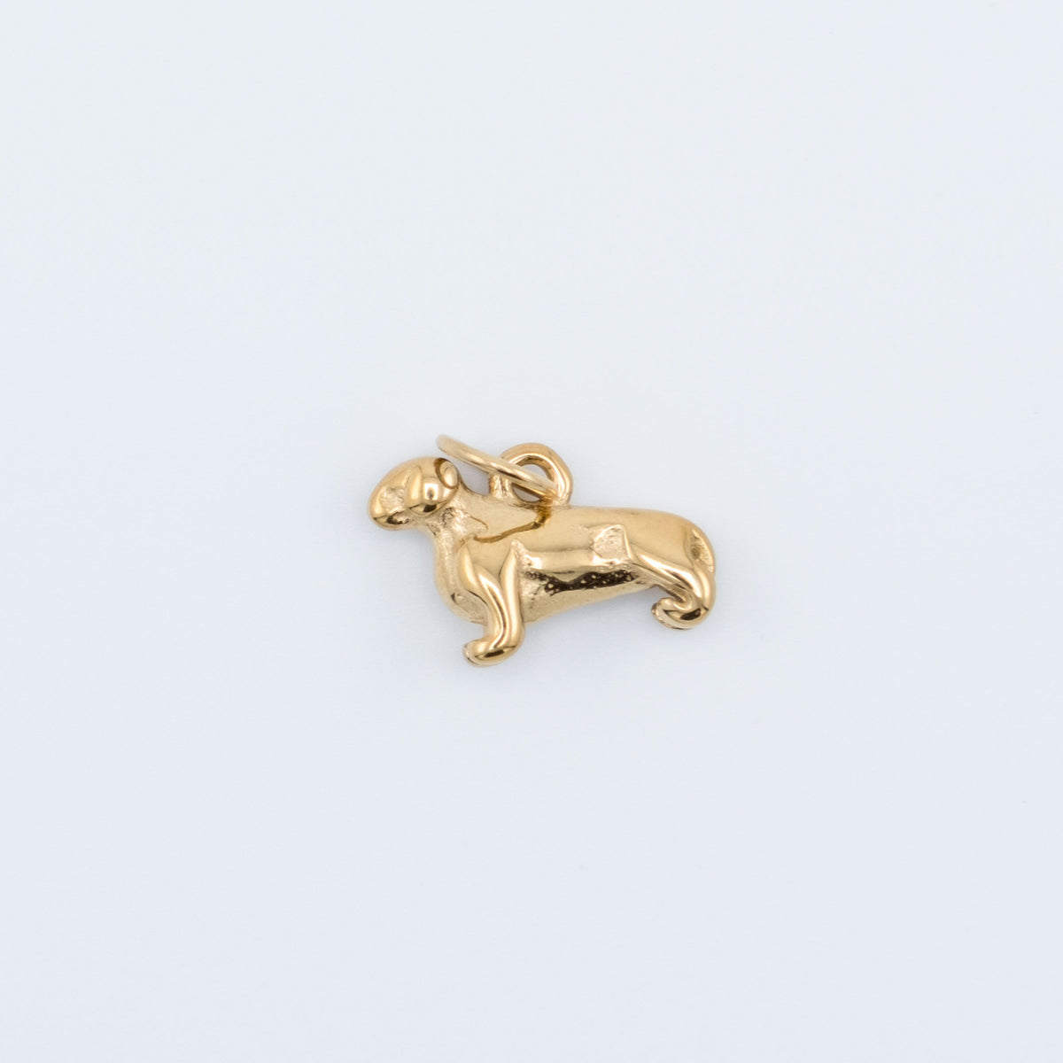 Charm - Dachshund