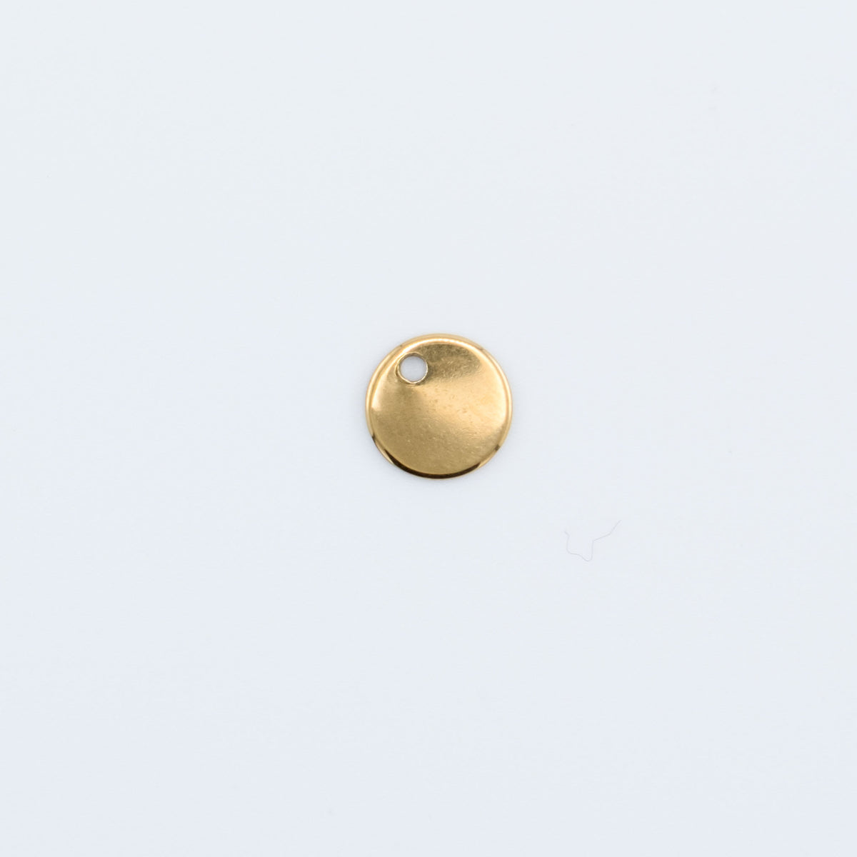 Charm - Small Plain Disc