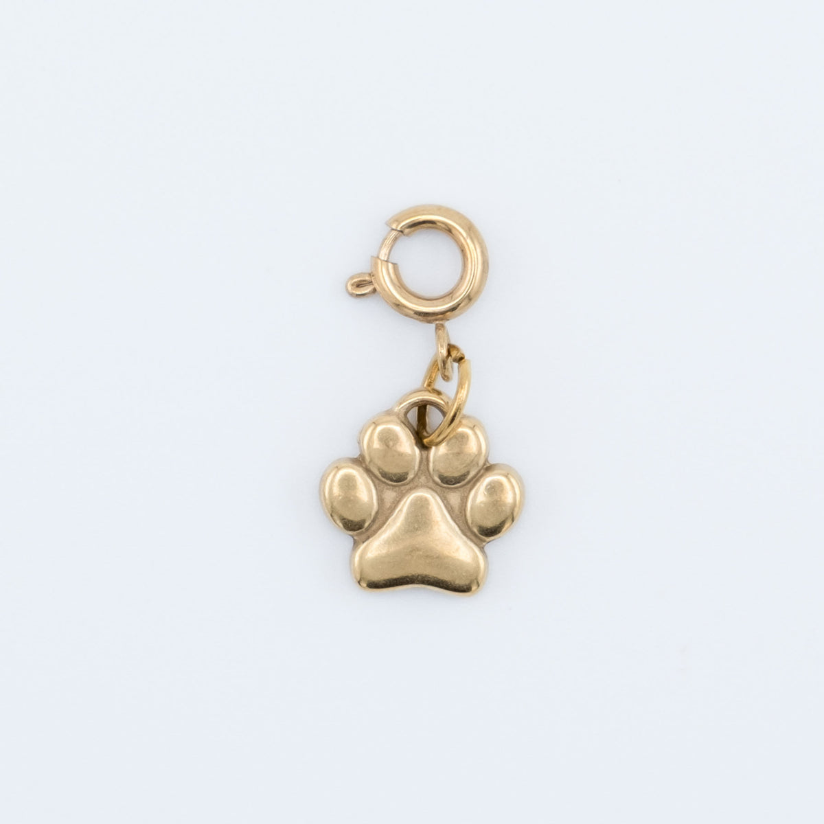 Charm - Dog Paw